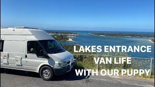 LAKES ENTRANCE VAN LIFE WITH A CAVOODLE PUPPY , LAKE TYERS , WYANGA PARK WINERY , ROSEDALE  KALIMNA