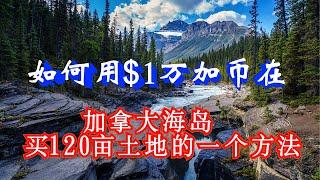 如何在加拿大买到便宜的土地？如何过上不需要贷款，没有压力，轻松自由的海岛田园生活?