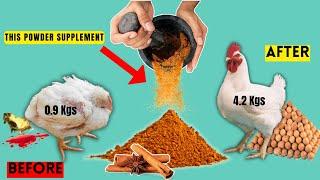 Treat COCCIDIOSIS | NEWCASTLE DISEASE & BOOST WEIGHT GAIN Using this ORGANIC POWDER SUPPLEMENT