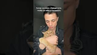 Не прокатило…             #кот #коты #спокойствие #дзен #cat #cats #humor