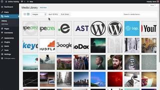 WordPress Media Library Basics: What It Is & How to Use It