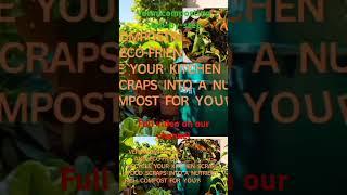 Vermicomposting Process | Vermicomposting Method |Worm Composting #vermicomposting #wormcomposting