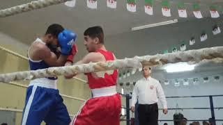 CHLEF BOXE . CHAMPIONNAT DE WILAYA CHLEF(4)