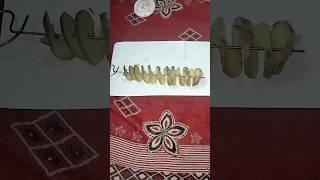 Amfs Store Potato Slicer SpiralCutter, Twisted Potato Slicer, Torn...#viral #ytshorts #meesho