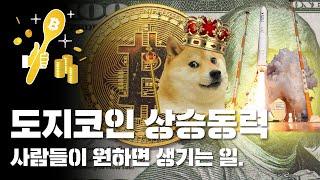 도지코인 업데이트와 상관없이 폭발적으로 오를 수 있는 이유.