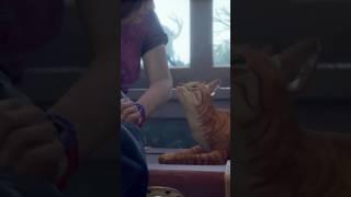 Lost Records Bloom and Rage  - Swann soothes her anxiety and snuggles her cat Pumpkin