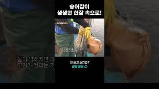 숭어잡이, 그 생생한 현장 속으로! | 리얼다큐 숨