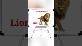 Wild animals | Names of wild animals #short #ytshorts trending #learning