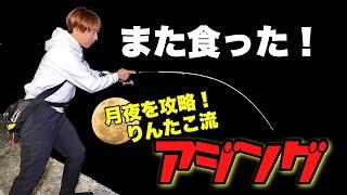 りんたこ流！難攻不落の満月アジング攻略