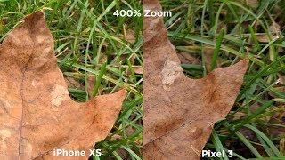 Pixel 3 vs iPhone XS - Which takes better photos?