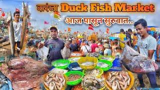 करंजा नवीन धक्क्यावर बाजार झाला सुरू | Karanja Dock | करंजा Dock Fish Market आज पासून सुरुवात..