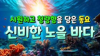 바다동요~ 바다에서 스노쿨링 하는 기분을 느껴보세요~ 동요로 감성충전 하는 시간 2분! 바닷속 영상 여기가 최고! [고화질영상] 신나고 조용한곡 분위기 함께 들어요!