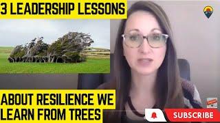 3 Leadership Lessons about Resilience we learn from Trees