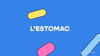 L'estomac