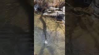 Mini Meditation | Calming Piano for Stress Relief Relax with Water Outside of Ojai, California