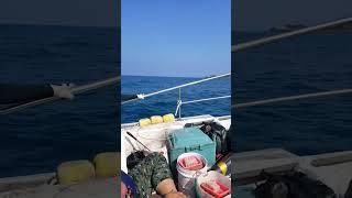 제주 바다낚시_나훈아 테스형