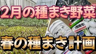 2月の種まき　3.4.5月の種まき予定図と共に紹介します。