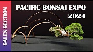 2024 Pacific Bonsai Expo |  Part 2 The Sales Section