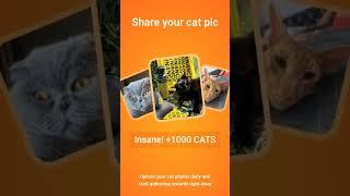 #cats #reels #telegram #bot #заработать #телеграм #боты
