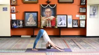 30 minutes practice of Ashtanga Yoga Mysore Style for beginners to intermediates