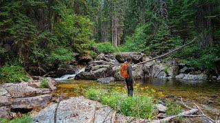 Most Bull Trout I’ve EVER Caught in a Tiny Creek! (Fly Fishing for Bull Trout)