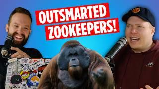 Ken Allen’s Incredible Escapes from the San Diego Zoo | Ep 257