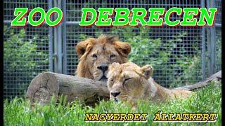 Debreceni állatkert   ZOO