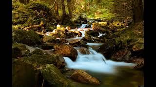 ALAN WATTS  TERRESTRIAL EXITIUM   ALAN WATTS CHILLSTEP MIX #3   1 HOUR +