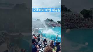 흠뻑쇼
