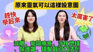 原來靈氣可以這樣設意圖減肥、寵物療癒、淨化地球、保護罩、吸引力法則️️️