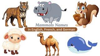 Common Mammals in English, French, and German | Animal Names  | English Vocabulary Words