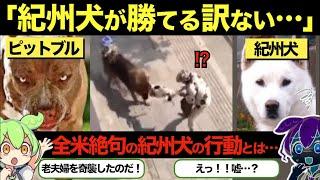 【総集編】【海外の反応】世界最強の「闘犬」ピットブルが日本の紀州犬にたった5秒で戦意喪失させられてしまった理由【GJタイムス】…【ずんだもん×ゆっくり解説】