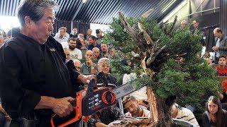 Kunio Kobayashi Bonsai demonstration