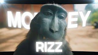 Monke Rizz - Look Don't Touch [Edit]