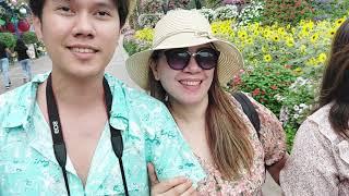 Mommy Lea in Miracle Garden Dubai