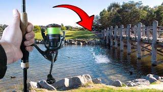 GIANT Fish in a TINY Pond - Melbourne Metro MADNESS !!