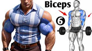 6 Perfect Biceps Workout - THE GYM