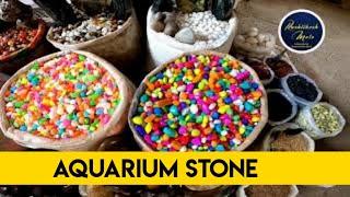 Biggest Fish Market Kurla Fish Market|Wholesale Aquarium Fish Market in Mumbai| Aquarium Sand Shop