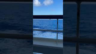 Beautiful day to sit on the Cove Balcony on Deck 2 of Carnival Magic #carnivalmagic