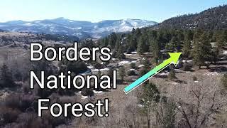 Borders National Forest!  5.8 acre lot - 2 CREEKS - Sunny Southern CO, FOR SALE Build mountain cabin