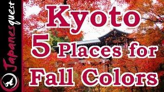 5 Places to See the Fall Colors of Kyoto! | Japan Travel Guide