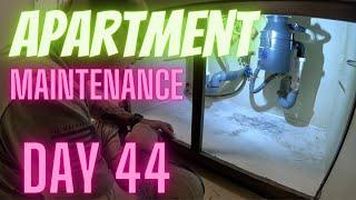 Day 44 as apartment maintenance