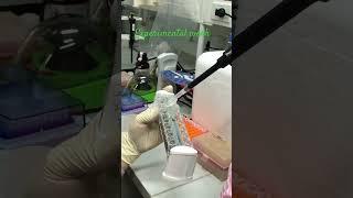 Who is a scientist? Please comment #mawivlogs #thailand