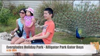 Everglades Holiday Park - Alligator Park Gator Boys