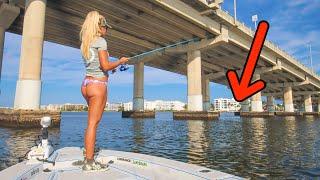 Fishing under HUGE BRIDGE in Florida Lagoon! (Catch & Cook)