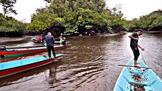 Menjala Udang Ketika Air Surut || Ngerambang ai langkang || Matahari Mit || sungai passin