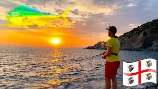 Mahi Mahi off the rocks with Topwater Lures and Metal Jigs! Shore fishing in Sardinia, Italy