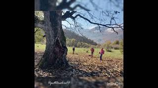 Nov 2024. Shamsak Plain, Ziarat Village, Gorgan, Iran #climbing #mountains #iran #gorgan #autumn