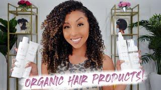 INNERSENSE Organic Hair Product Review | BiancaReneeToday