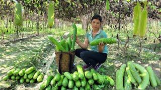 Harvesting gourd to sell at market, Taking care of pets, Cooking